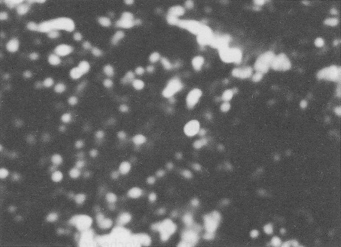 PPKB 01 - pg 404 - CR 034 (1)