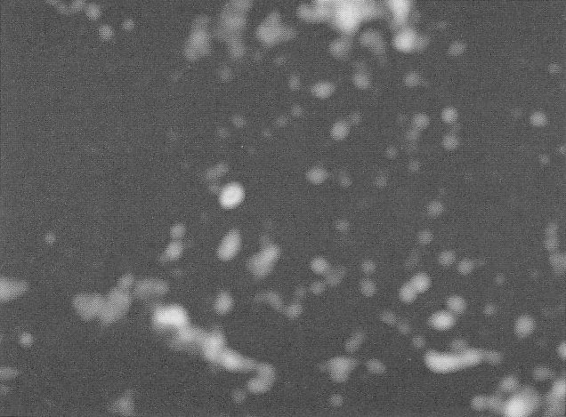 PPKB 01 - pg 406 - CR 034 (1)