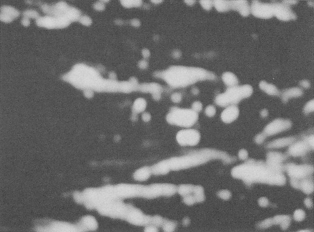 PPKB 01 - pg 406 - CR 034 (2)