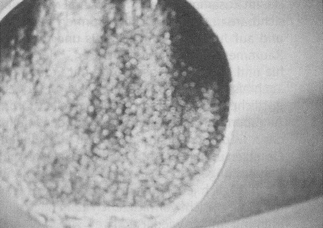 PPKB 01 - pg 407 - CR 034 (1)