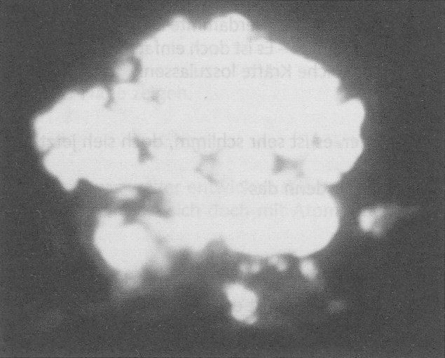 PPKB 01 - pg 432 - CR 035 (2)