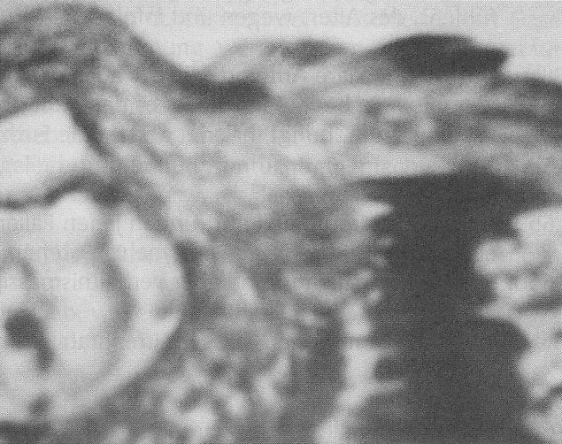 PPKB 01 - pg 438 - CR 035 (2)