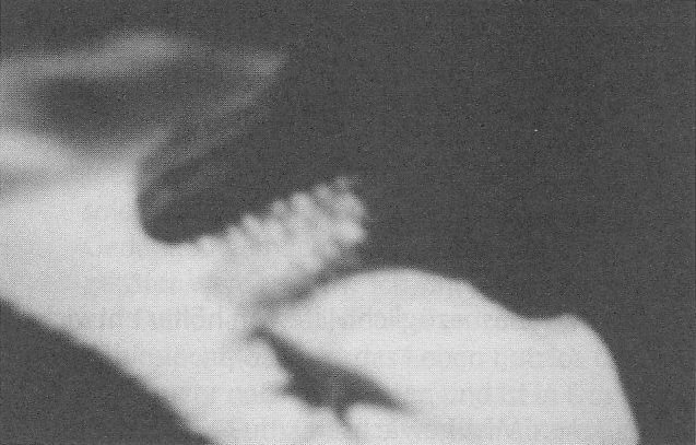 PPKB 01 - pg 438 - CR 035 (3)